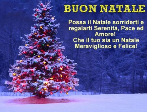 Una scatola di Natale speciale…