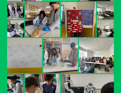 Grande successo al Liceo scientifico del Convitto Nazionale “A.Nifo” di Sessa Aurunca di “Una giornata da Liceale – Esplora il tuo futuro”!