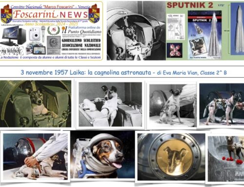 3 novembre 1957 Laika: la cagnolina astronauta