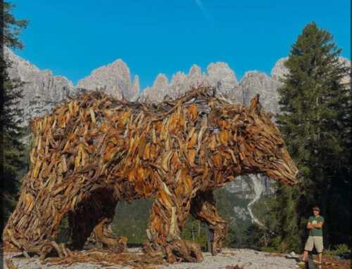 Un’Orsa come simbolo di equilibrio tra uomo e natura