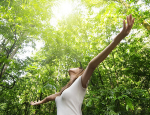 Biofilia, come l’uomo dialoga con la natura