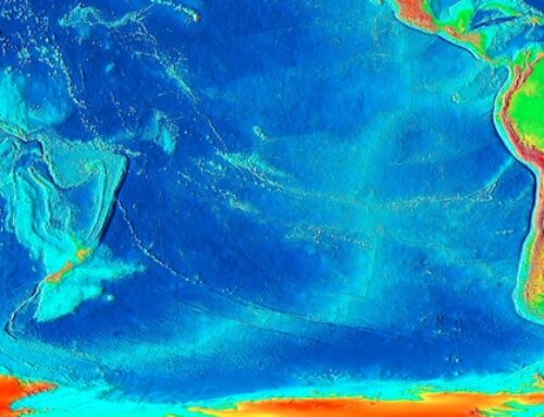 Fondale marino di 250 milioni di anni fa