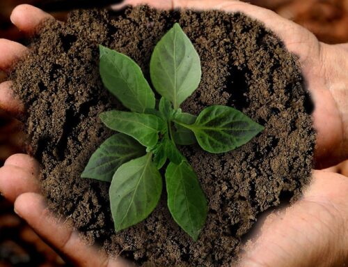 Agricoltura sociale, la Sardegna chiama la Tuscia